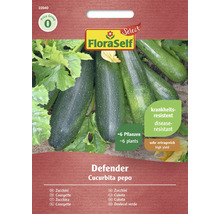 FloraSelf Defender Zucchinisamen