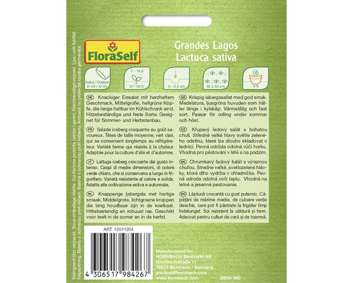 Eissalat Grandes Lagos Saatgutpackung