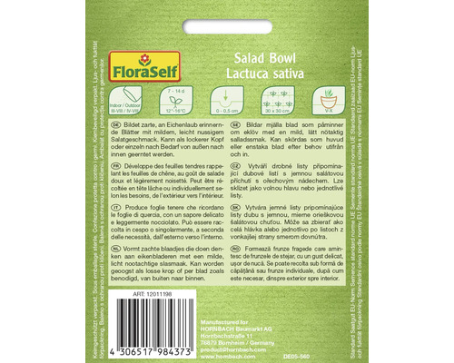 Salat Bowl Saatgut der Sorte Lactuca sativa