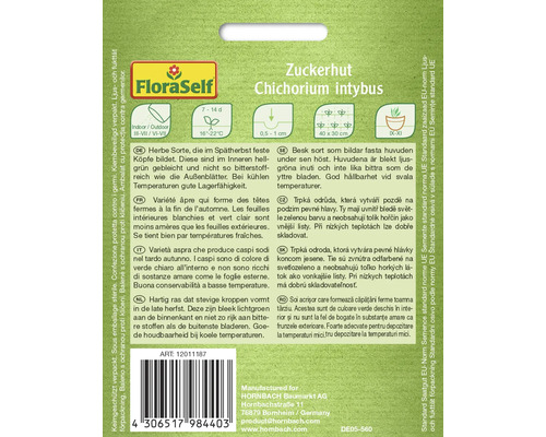 Zuckerhut Chichorium intybus seed packet