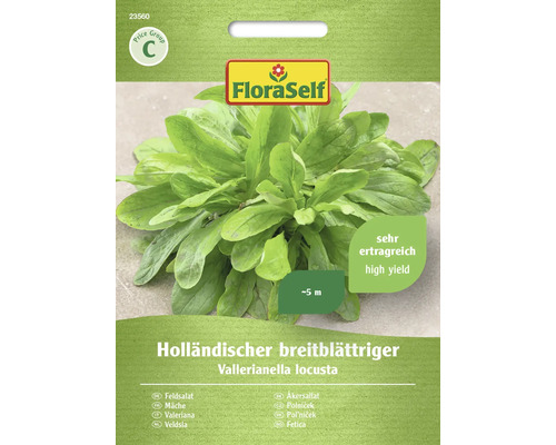 Feldsalat Holländischer breitblättrig FloraSelf Samenfestes SaatgutSalatsamen