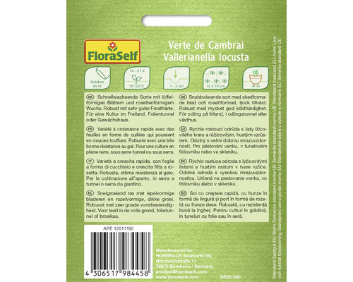 Verte de Cambrai Feldsalat-Saatgut von FloraSelf