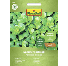 Sommerportulak FloraSelf Samenfestes Saatgut Gemüsesamen