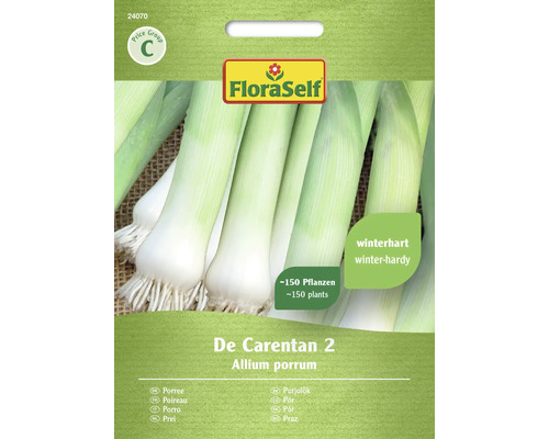 Porree De Carentan 2- FloraSelf Samenfestes Saatgut Gemüsesamen