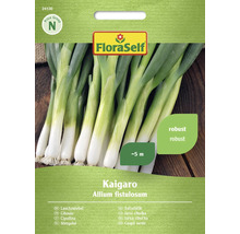 FloraSelf Saatgut Frühlingszwiebel Kaigaro Allium fistulosum