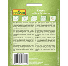 Verpackung von Kai Garo Lauchzwiebelsamen der Marke FloraSelf