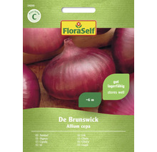 Zwiebel De Brunswick FloraSelf Samenfestes Saatgut Gemüsesamen