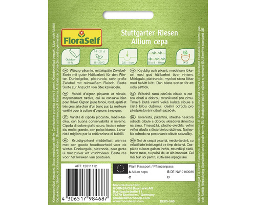Stuttgarter Riesen Allium cepa Zwiebelsamenpackung
