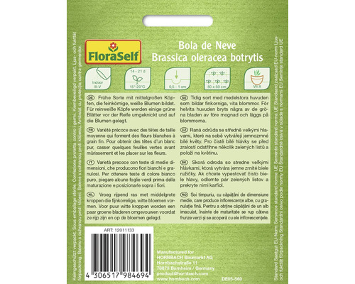 Samenpackung Bola de Neve Brassica oleracea botrytis von FloraSelf