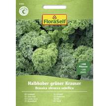 Grünkohl Halbhoher grüner Krauser FloraSelf samenfestes Saatgut Gemüsesamen