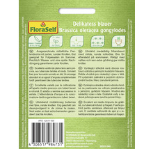 Samenpackung Delikatess blauer Kohlrabi Brassica oleracea gongylodes