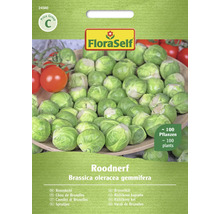 FloraSelf Rosenkohl Roodnerf Samenpackung für circa 100 Pflanzen
