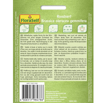 FloraSelf Roodnerf Brassica oleracea gemmifera Saatgutpackung