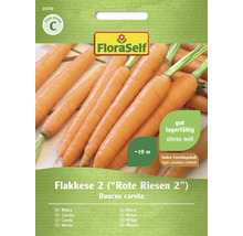 Möhre 2 Flakkese 2 ("Rote Riesen 2") FloraSelf samenfestes Saatgut Gemüsesamen