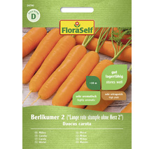 Möhre Berlikumer 2 (ehem. Lange rote stumpfe ohne Herz 2) FloraSelf Samenfestes Saatgut Gemüsesamen
