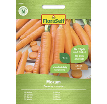 Karotte Mokum FloraSelf Hybrid-Saatgut Gemüsesamen