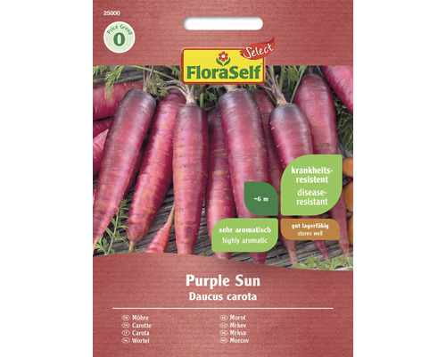 Karotte Purple Sun FloraSelf Select Hybrid-Saatgut Gemüsesamen