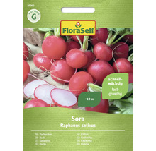 FloraSelf Sora Radieschen Samenpackung