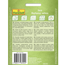 Samenpackung für Sora Garten-Radieschen von FloraSelf
