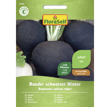 Rettich Runder schwarzer Winter FloraSelf Samenfestes Saatgut Gemüsesamen