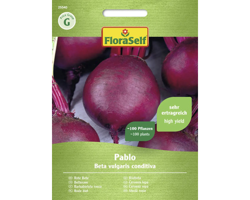 Rote Beete Pablo FloraSelf Hybrid-Saatgut Gemüsesamen
