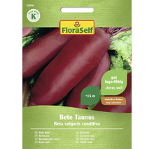 Rote Beete Bete Taunus FloraSelf Hybrid-Saatgut Gemüsesamen