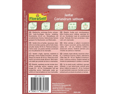 Jantar Koriandersamenpackung für den Anbau im Freien