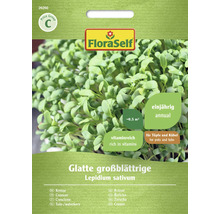 Kresse Glatte großblättrige FloraSelf Samenfestes Saatgut Kräutersamen