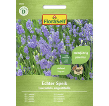 Echte Speik Lavendel Samenpackung von FloraSelf