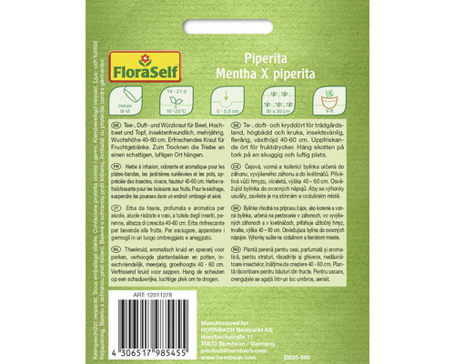 FloraSelf Pfefferminze Mentha X piperita Samenpackung