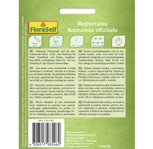 Mediterranea Rosmarinus officinalis Saatgutpackung