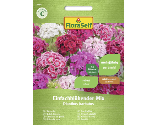 Bartnelke FloraSelf Blumensamen