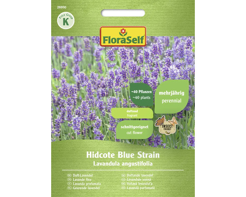 Duft Lavendel Hidcote Blue Strain FloraSelf samenfestes Saatgut Blumensamen
