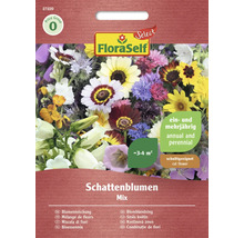FloraSelf Blumensamen Schattenblumen Mischung für circa 3 bis 4 Quadratmeter