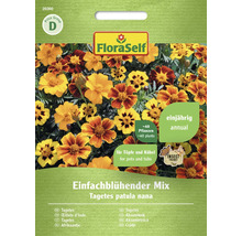 FloraSelf Tagetes patula nana Samen für etwa 40 Pflanzen