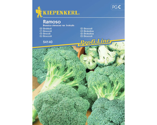 Broccoli Kiepenkerl Gemüsesamen