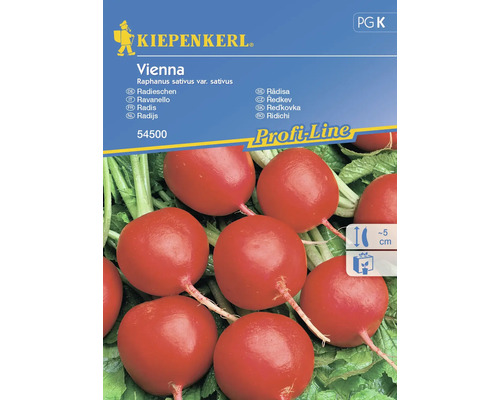 Radieschen Vienna Kiepenkerl Hybrid-Saatgut Gemüsesamen