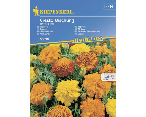Großblütige Studentenblume Cresto Mischung Kiepenkerl Samenfestes Saatgut Blumensamen Kiepenkerl Cresto Mischung Tagetes Samenpackung mit orangefarbenen und gelben Studentenblumen