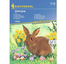 Mischung Deko Kiepenkerl Samenfestes Saatgut Blumensamen