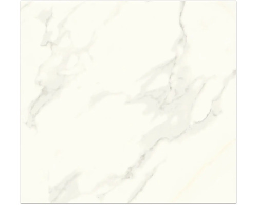 Feinsteinzeug Wand- und Bodenfliese Calacatta weiß Creme 60 x 60 x 0,8 cm rektifiziert