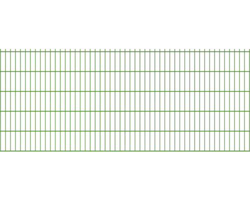 Doppelstabmatte 6/5/6 251 x 103 cm RAL 6005 moosgrün