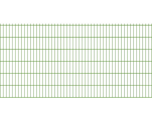 Doppelstabmatte 6/5/6 251 x 123 cm RAL 6005 moosgrün