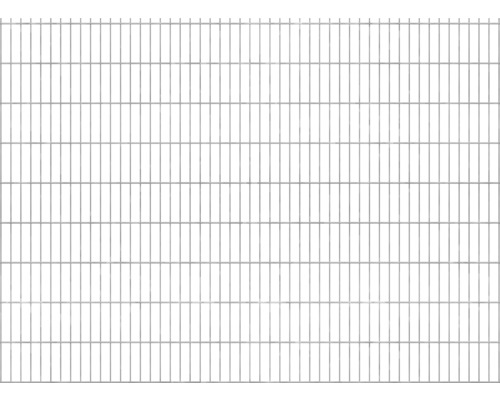 Doppelstabmatte 6/5/6 251x183 cm, feuerverzinkt
