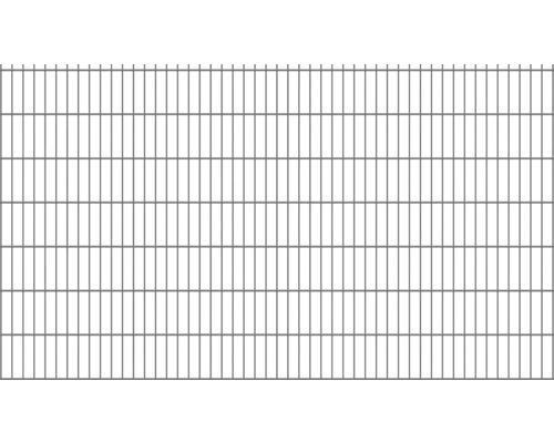Doppelstabmatte Typ 6/5/6 251 x 143 cm RAL 7016 anthrazit Doppelstabmatte Typ 6/5/6 251 x 143 cm RAL 7016 anthrazit