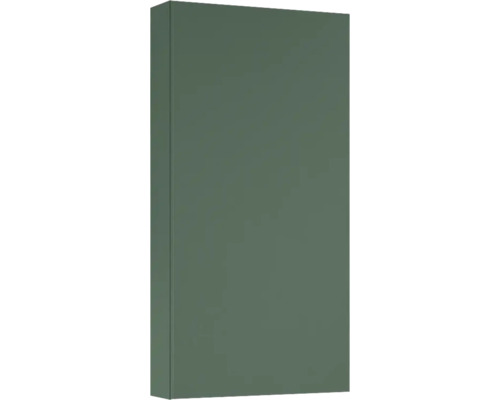 Jungborn Hängeschrank BxHxT 400 x 800 mm x 126 mm Frontfarbe forrest grün matt Rechteckiger Wandschrank