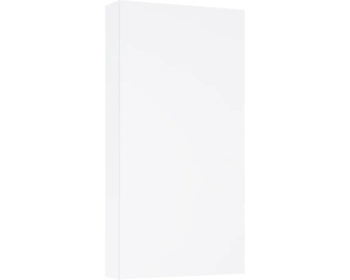 Jungborn Hängeschrank BxHxT 400 x 800 mm x 126 mm Frontfarbe weiß hochglanz Weißer Schrank