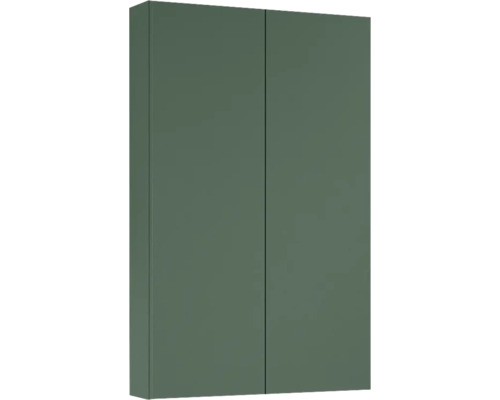 Jungborn Hängeschrank BxHxT 500 x 800 mm x 126 mm Frontfarbe forrest grün matt Geschlossener Wandschrank mit zwei Türen