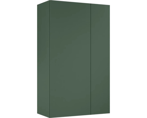 Jungborn Hängeschrank BxHxT 596 x 1000 mm x 316 mm Frontfarbe forrest grün matt Geschlossener Wandschrank mit zwei Türen