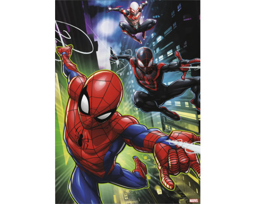 Leinwandbild Spiderman & Friends 50x70 cm