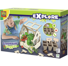 SES Creative Explore Gewächshaus Gemüse Bausatz im Karton